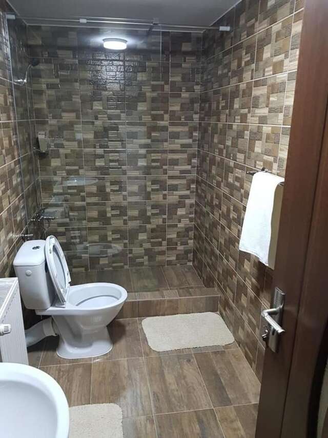 Фермерские дома Pensiunea GuestHouse Stăneşti-4