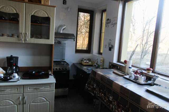 Фермерские дома Pensiunea GuestHouse Stăneşti-26