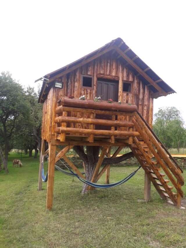 Проживание в семье Casuta Bunicilor Breb-24