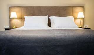 Отель Nest Дробета-Турну- Севери Двухместный номер с 1 кроватью или 2 отдельными кроватями, вид на сад-5