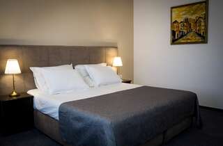 Отель Nest Дробета-Турну- Севери Двухместный номер с 1 кроватью или 2 отдельными кроватями, вид на сад-1