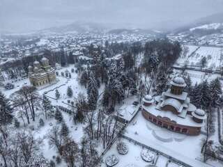 Виллы Vila Hubertus Куртя-де-Арджеш Вилла-49