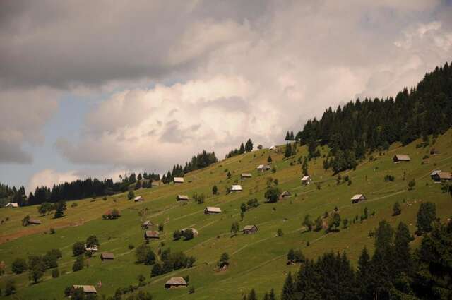 Гостевой дом Căsuța de lângă pădure Мойечу-де-Сус-46