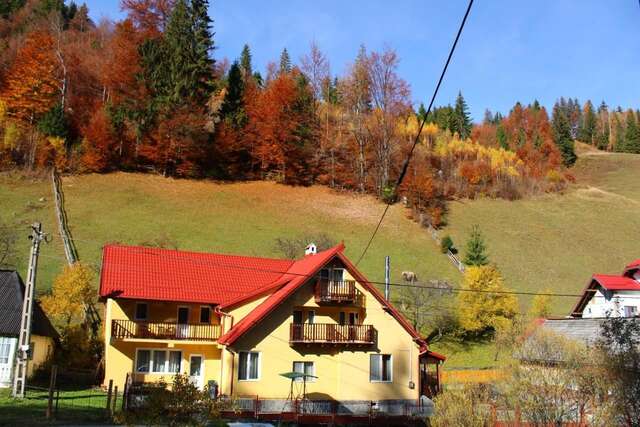 Гостевой дом Căsuța de lângă pădure Мойечу-де-Сус-47