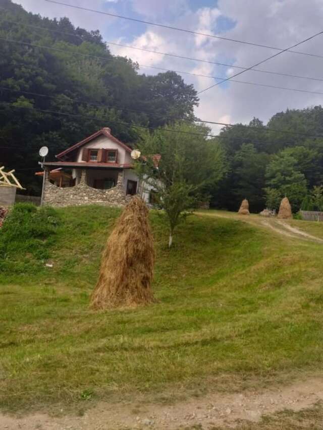 Дома для отпуска Casă de vacanţă Pianu de Sus-24