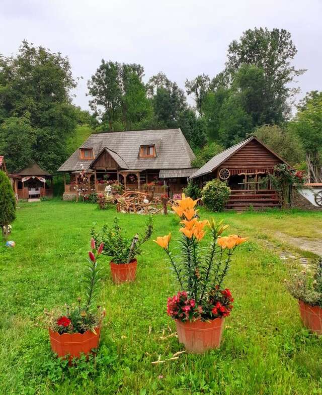 Лоджи Pensiunea Rustic Oncesti Onceşti-21