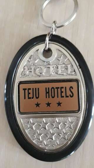 Фото Отель Teju Hotels город Слэник (28)