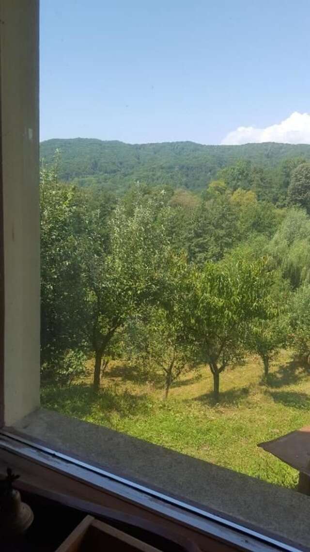 Виллы Casa de vacanta Adelina Valea Lungă-Gorgota-49