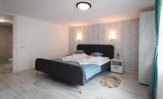 Отель Complex Turistic Luminita Мойечу-де-Сус Double Room in Vila Alba-4