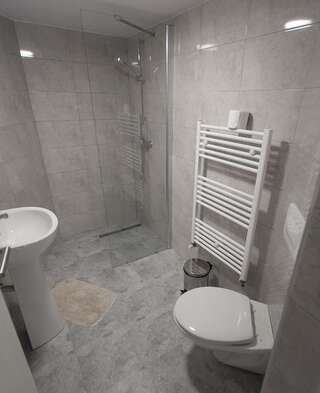 Отель Complex Turistic Luminita Мойечу-де-Сус Double Room in Vila Alba-9