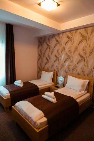 Отель Pensiune Confort Morosanu Şinca Veche Двухместный номер с 2 отдельными кроватями и балконом-12