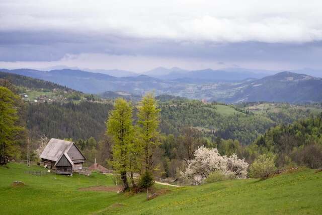 Лоджи Cabana Poiana Dealul Frumos Hănăşeşti-16