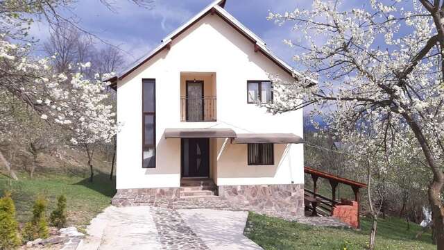 Дома для отпуска Casa Fluțar Мойсей-74