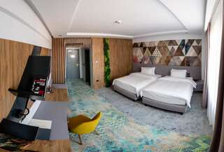 Отель Mandachi Hotel & SPA Сучава Двухместный номер Делюкс с 2 отдельными кроватями-1