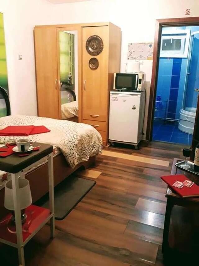 Гостевой дом Hostel Pascalis Alesd Aleşd-3