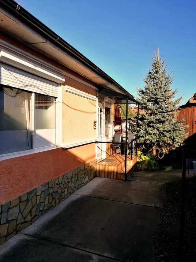 Гостевой дом Hostel Pascalis Alesd Aleşd-13