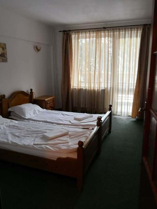 Хостелы Hostel Alex - Complex Dumbrava Minunata Кымпулунг-Молдовенеск-25