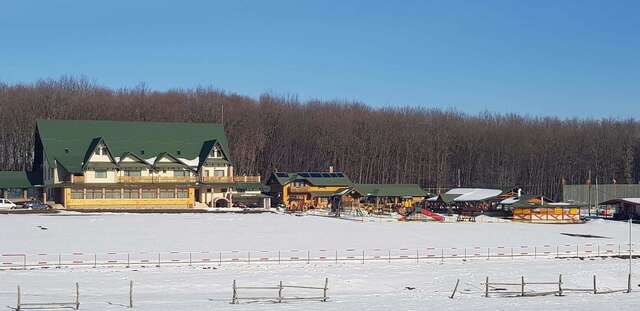 Гостевой дом Pensiunea Cabana Vanatoreasca Motca Moţca-3