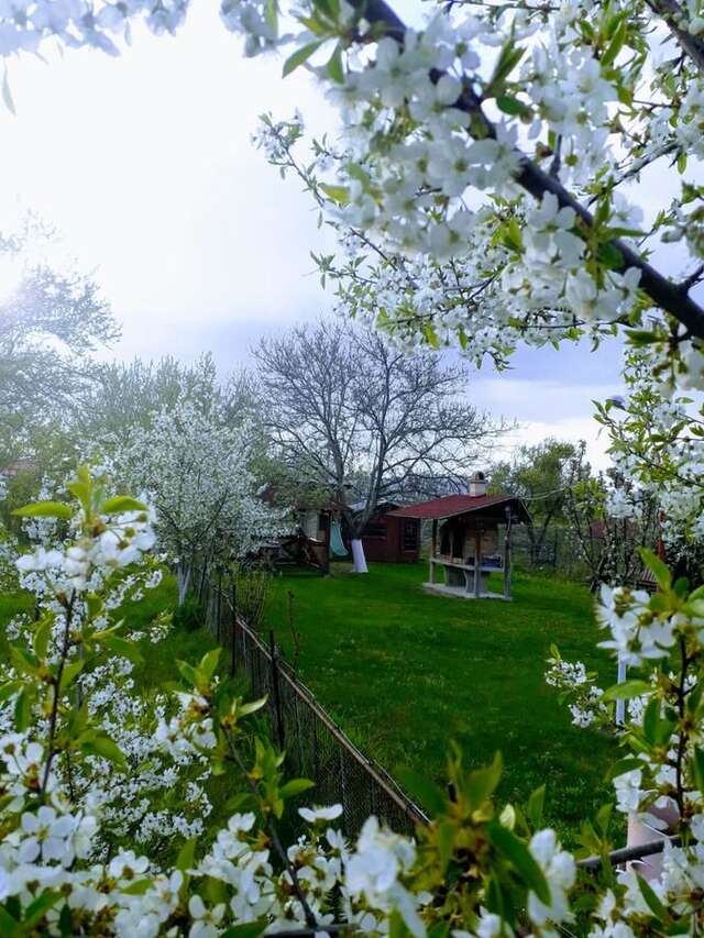 Гостевой дом Casa Stely Рышнов-14