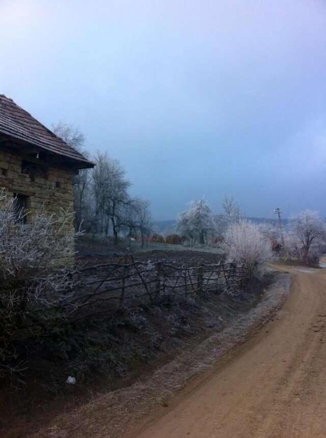 Лоджи Badesti Farm House Răscruci-18