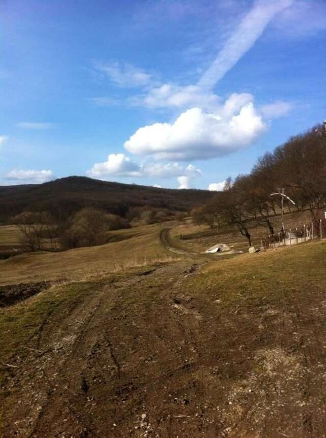 Лоджи Badesti Farm House Răscruci-22