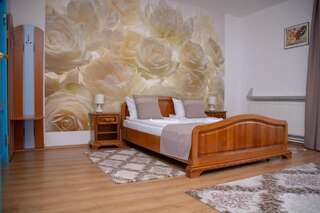Мотели Motel Via Targu Mures Cristeşti Двухместный номер с 1 кроватью и террасой-8