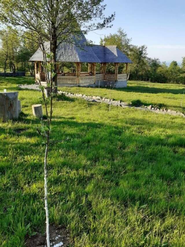 Дома для отпуска Casa Floare de Nu Mă Uita - Poiana Creasta Cocoșului Breb-145