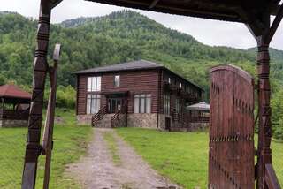Гостевой дом Pensiunea Roxana Valea Vişeului