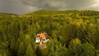 Отели типа «постель и завтрак» Kormos Residence Brăduţ