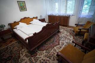 Отели типа «постель и завтрак» Kormos Residence Brăduţ Двухместный номер Делюкс с 1 кроватью и балконом-3