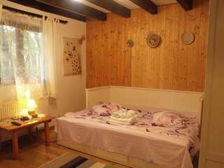 Гостевой дом Casuta din Lunca Половраджи Двухместный номер с 1 кроватью и собственной ванной комнатой-1