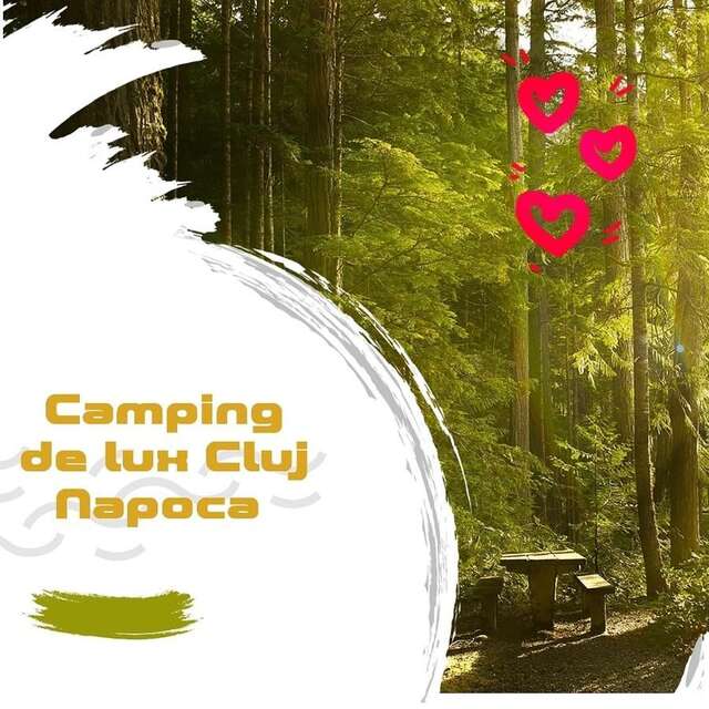 Кемпинги Camping de lux Cluj Napoca Muntele Săcelului-10
