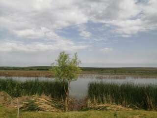 Дома для отпуска Cabana de vacanta, Acumularea Murani - Pădurea Pischia Murani Дом для отпуска-11