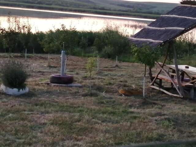 Дома для отпуска Cabana de vacanta, Acumularea Murani - Pădurea Pischia Murani-4