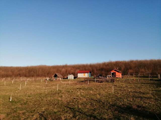 Дома для отпуска Cabana de vacanta, Acumularea Murani - Pădurea Pischia Murani-23