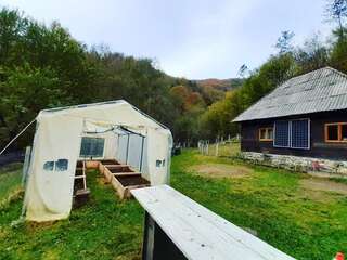 Шале Cozy hut in the wild nature of Romania Rîmeţi-Cheia Шале с одной спальней-30