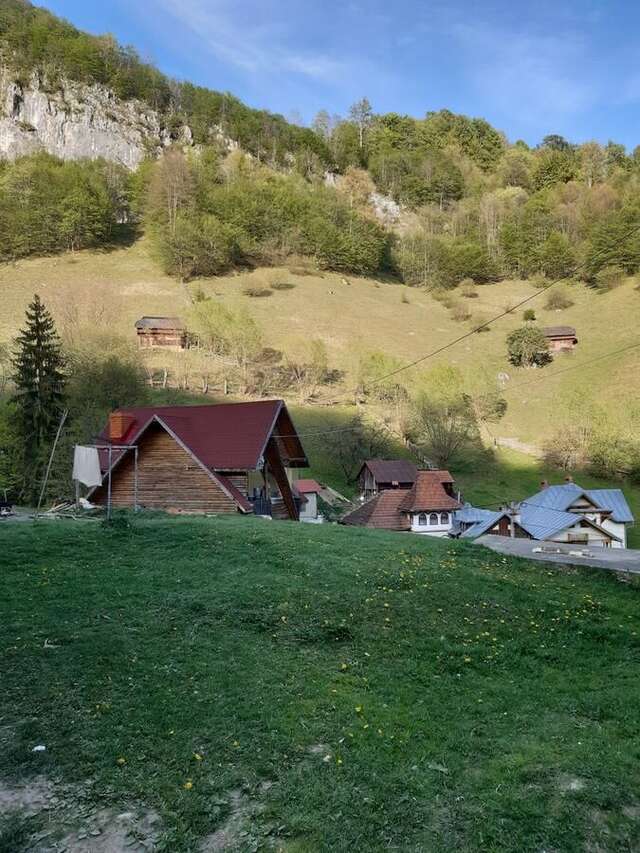 Гостевой дом Casa Sara Дымбовичоара-19