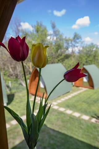 Фото  Tulipan Camping город Sic (3)