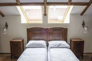 Апарт-отели The Throne Сигишоара Улучшенный двухместный номер с 1 кроватью или 2 отдельными кроватями-4