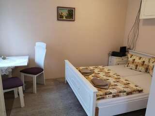 Отели типа «постель и завтрак» Nagy-Homoród Étterem és Panzió Rareş Двухместный номер с 1 кроватью и собственной ванной комнатой-4