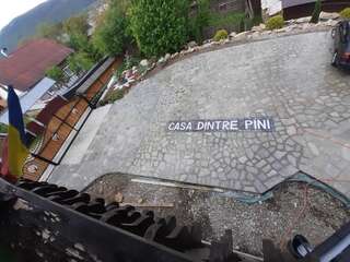 Дома для отпуска CASA DINTRE PINI Păltinoasa Дом с 5 спальнями-15