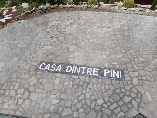 Дома для отпуска CASA DINTRE PINI Păltinoasa-19
