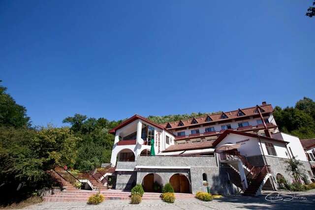 Курортные отели Hotel McPietroasa Haleş-10