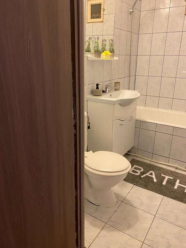 Отели типа «постель и завтрак» Apartament cu 1 camera Залэу-13