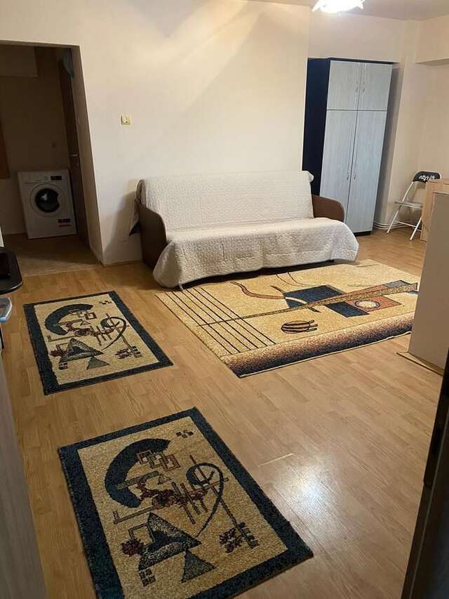 Отели типа «постель и завтрак» Apartament cu 1 camera Залэу-8