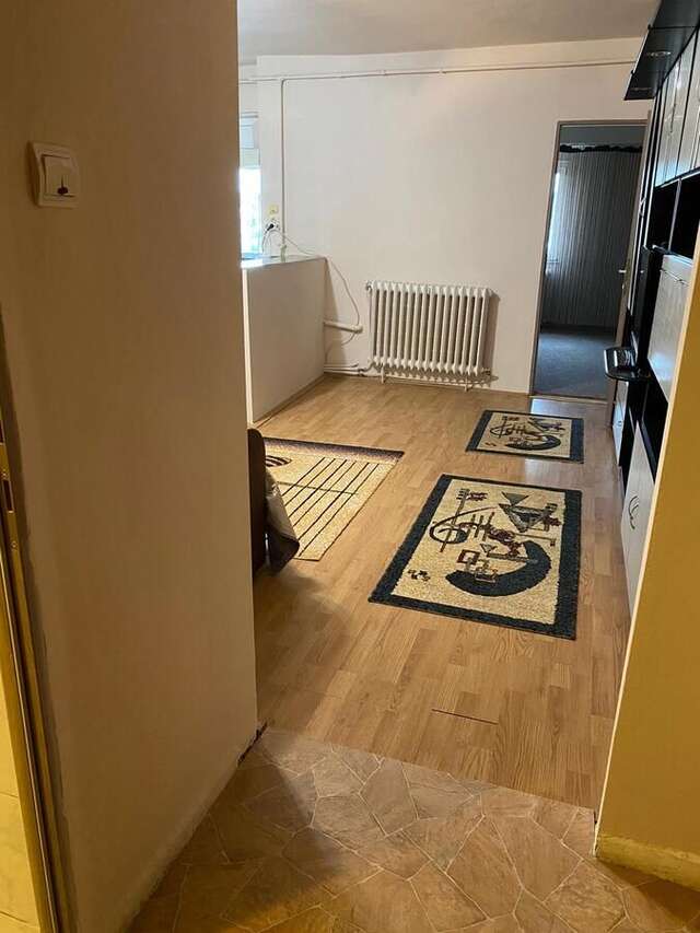 Отели типа «постель и завтрак» Apartament cu 1 camera Залэу-9