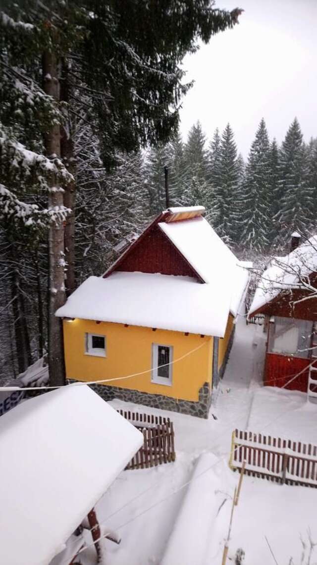 Проживание в семье Căsuța din pădure de la Câmpu lui Neag Cîmpu lui Neag-44