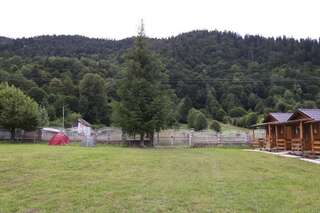 Фото номер Tarcau Poiana Soarelui - Cabanute - Camping Вилла с 1 спальней