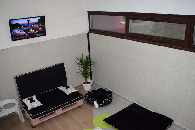 Отель Zen Pet Club - Luxury Pet Hotel Bragadiru-20