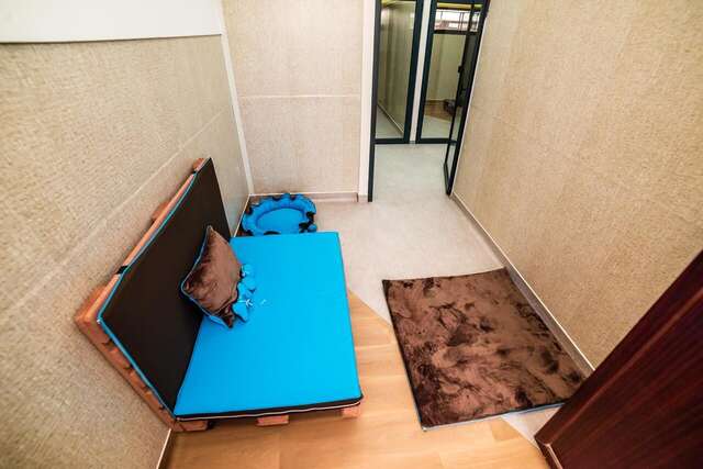 Отель Zen Pet Club - Luxury Pet Hotel Bragadiru-8